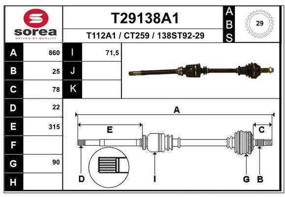 T29138A1