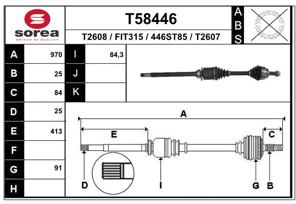 T58446