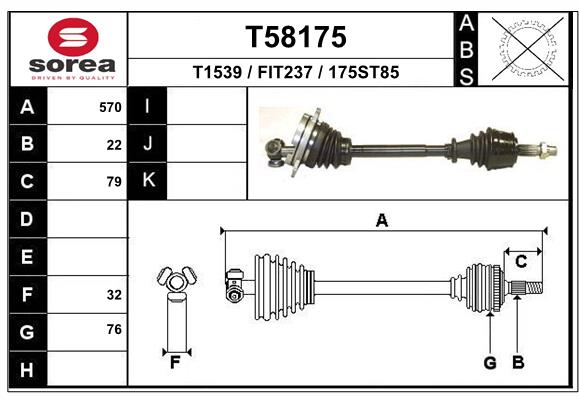 T58175