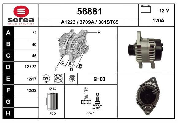 56881