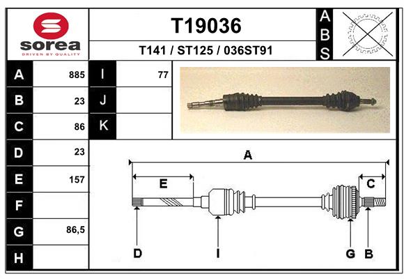 T19036