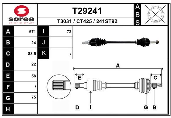 T29241