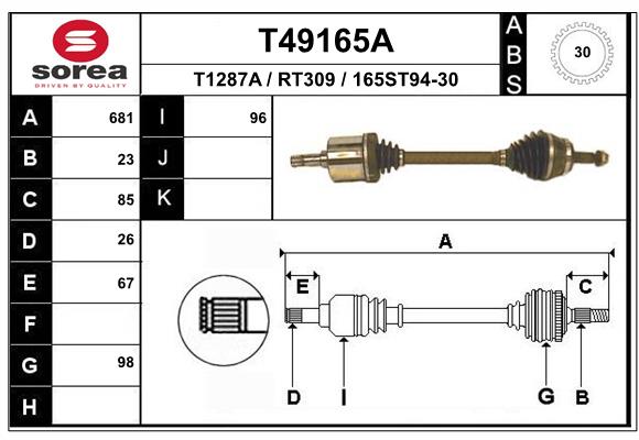 T49165A