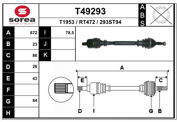 T49293