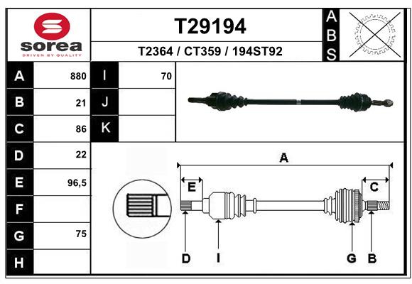 T29194