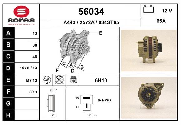 56034