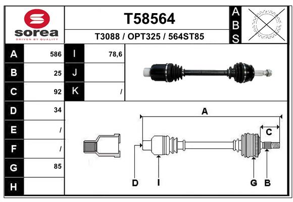 T58564
