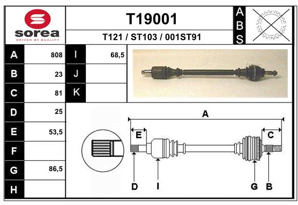 T19001