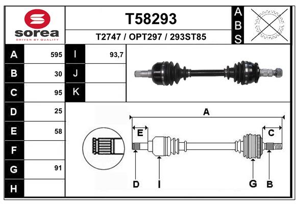 T58293