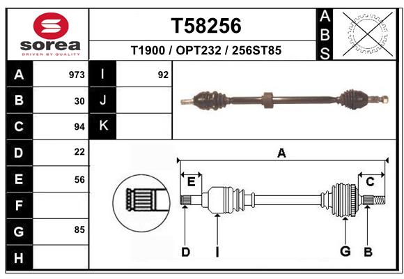 T58256