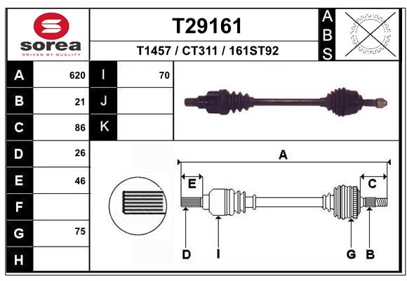 T29161