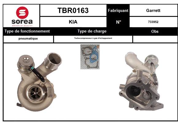 TBR0163