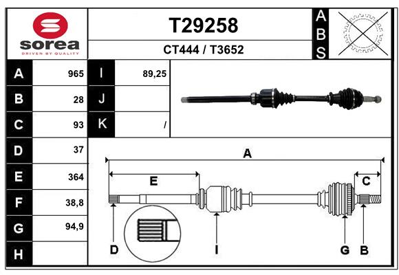 T29258