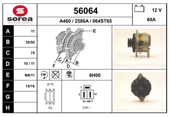 56064