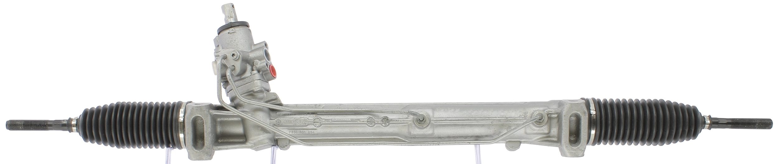 OL113081