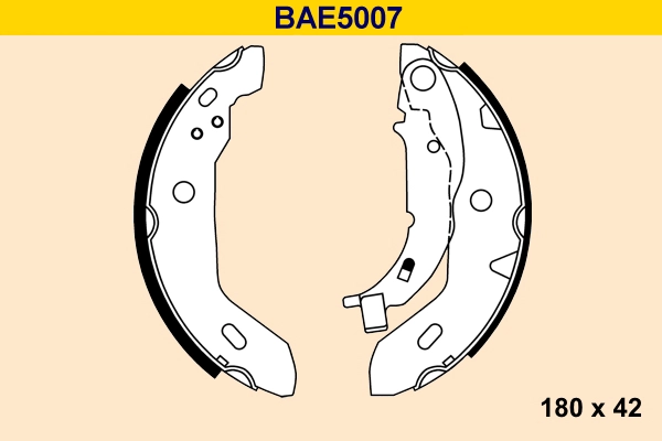 BAE5007