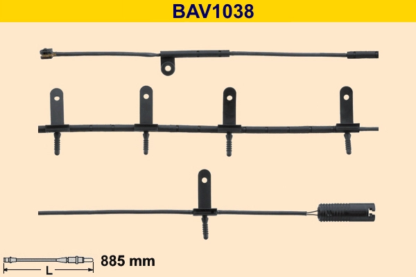 BAV1038