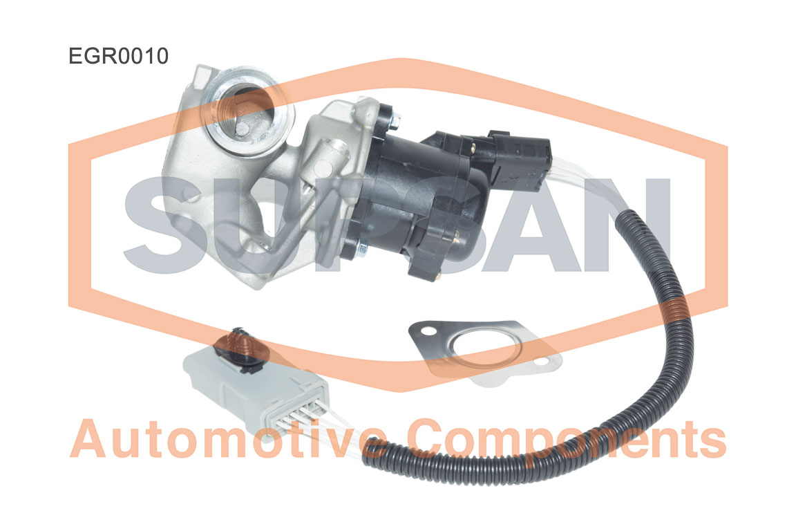EGR0010