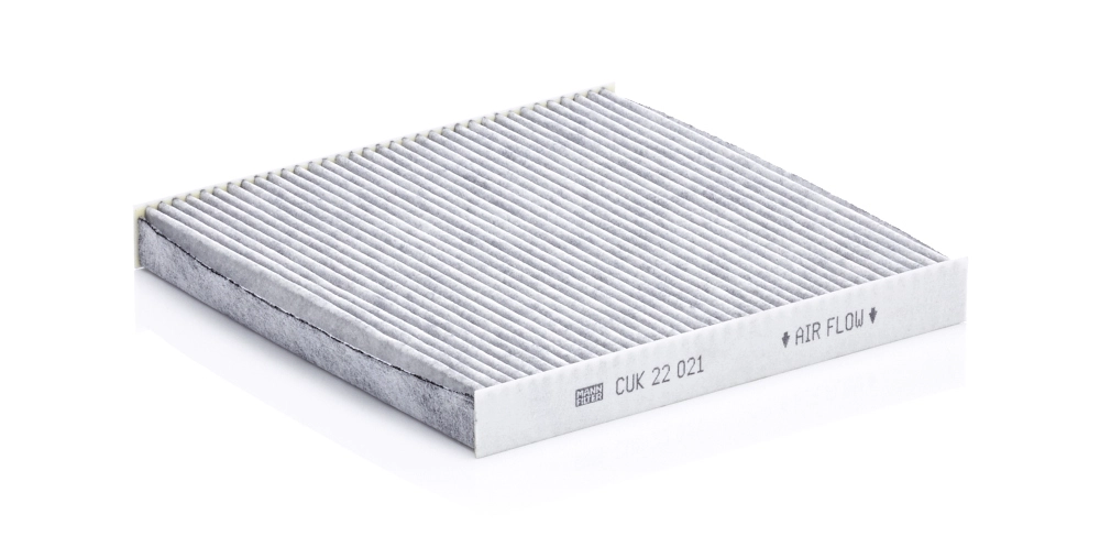 CUK22021