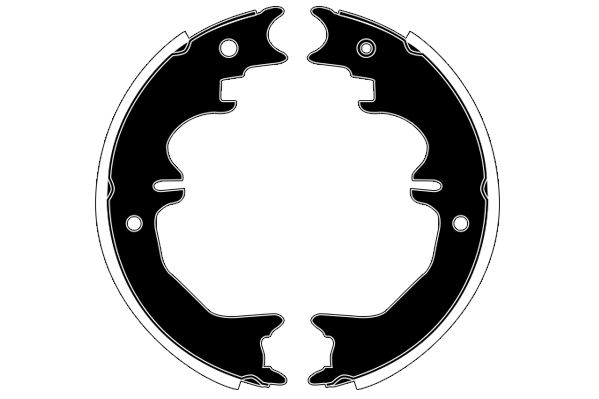 RA30300