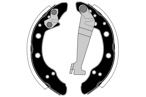 RA24100