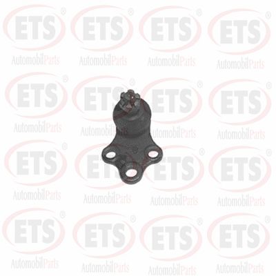 18.BJ.251