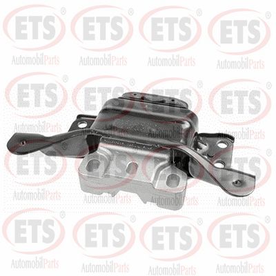 31.EM.881