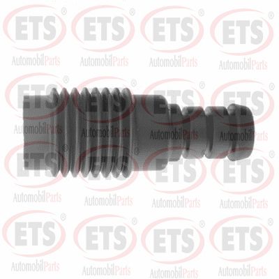 18.SK.504
