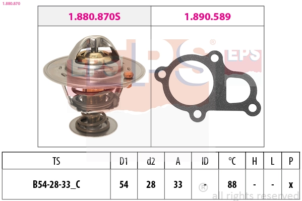 2550026100