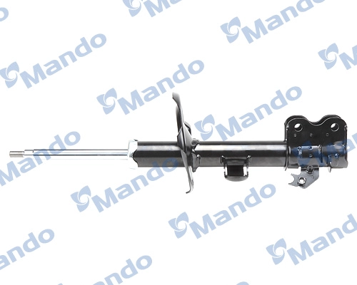 MSS020089