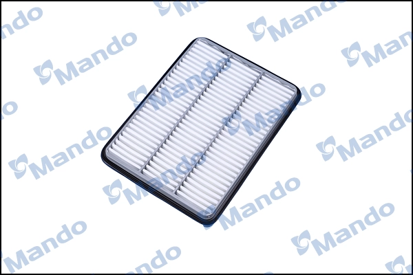 EAF00061M