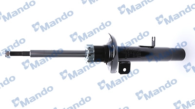 MSS017285