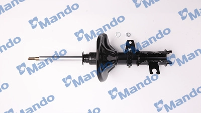 MSS015905