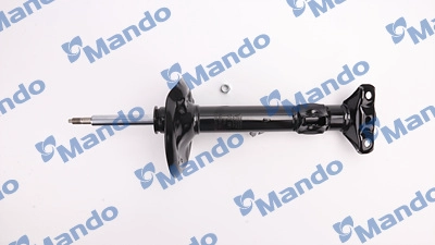 MSS017282