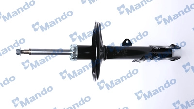 MSS017316