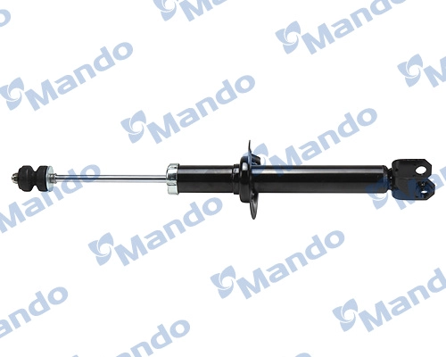 MSS020038