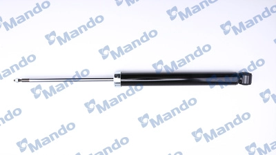 MSS020577