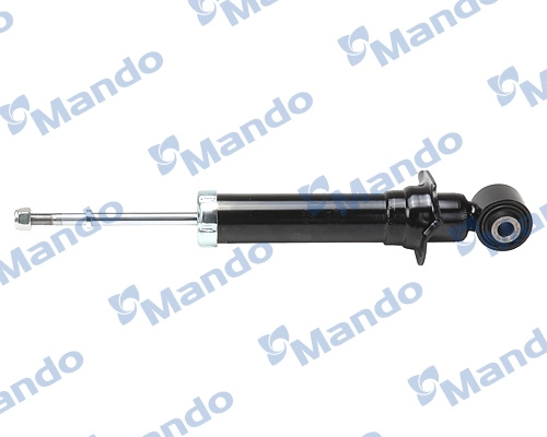 MSS020035