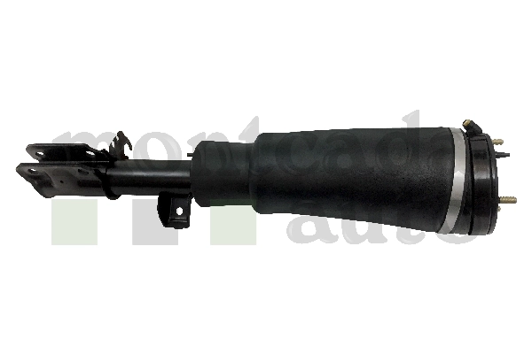 LR032570
