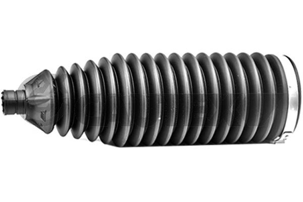 031632