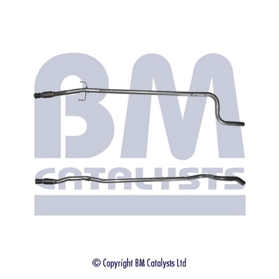BM50113