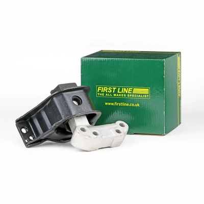 FEM3861