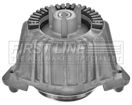 FEM4298