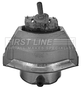 FEM3866