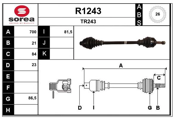 R1243