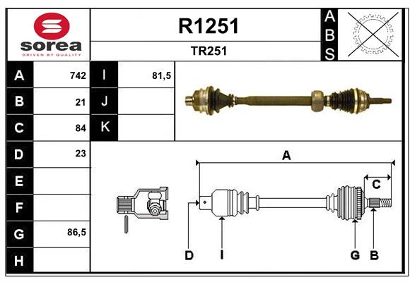 R1251