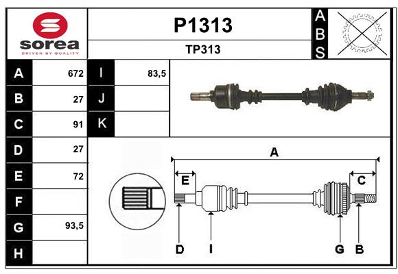 P1313