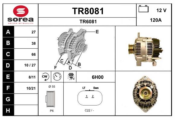 TR8081