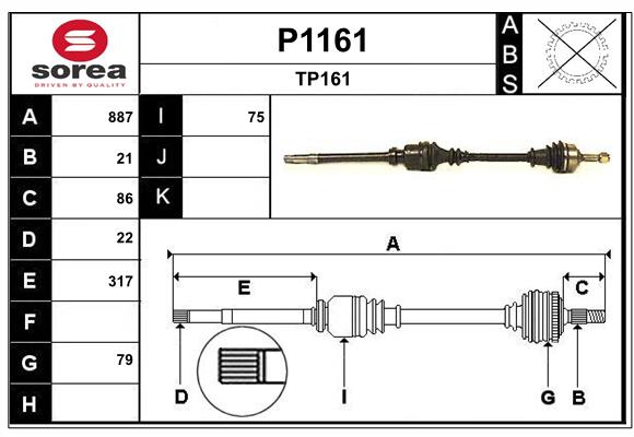 P1161