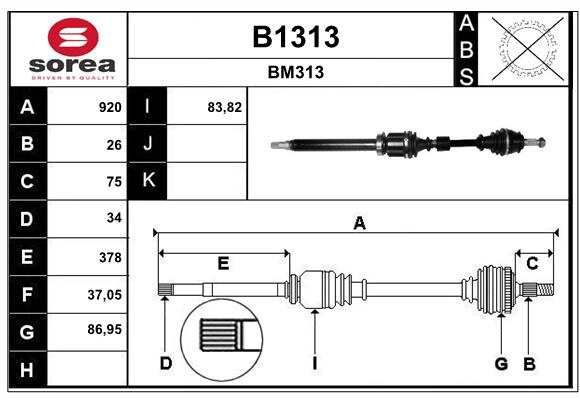 B1313